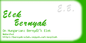 elek bernyak business card